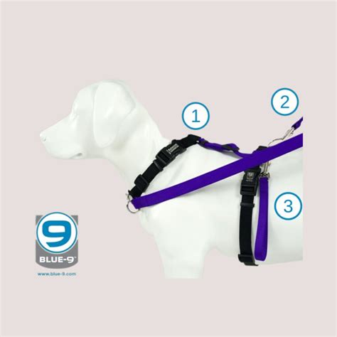 blue 9 balance harness uk.